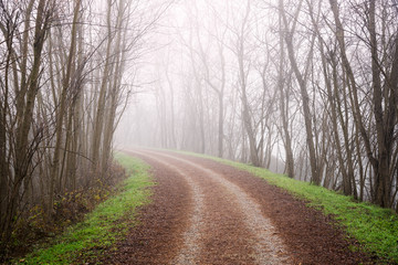 Curve along an tree lined dirt road covered in thick freezing fog on a winter morning