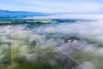 霧の日の空撮