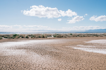Dried Cracked Mud Beach at the Salton Sea, California, USA