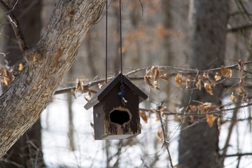 A bird house in the winter woods