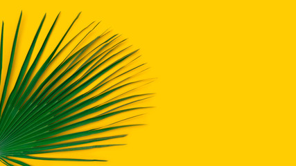Green palm leaf board on yellow tropical background. Summertime concept flat lay, tourism mockup, copy space