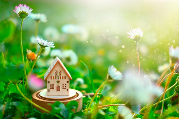 Wooden eco home model on green grass and flowers background. Environmental awareness eco friendly concept, sunlight effect, soft selective focus. House building.