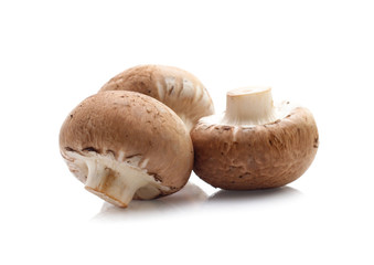 champignon mushrooms on white background