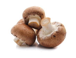 champignon mushrooms on white background