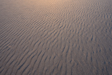 Looking Across Rippled Sand
