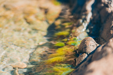 Sea Wave and rock; natural background