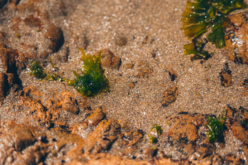 Sea Wave and rock; natural background