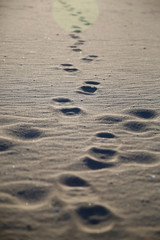 Beach Sand Photographs in the Coast