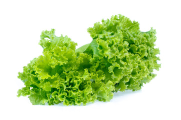 Lettuce isolated on white background