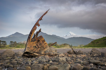Rusty Shipwreck in front of Mt. Taranaki, New Plymouth, New Zealand