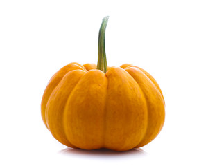 pumpkin isolated on white