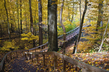 A boardwalk and bridge winds it's way through the autumn woods and across the Galien River at Warren Woods State Park near Three Oaks, Michigan.