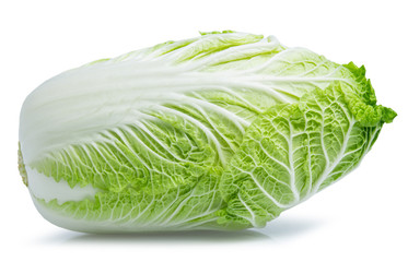 chinese cabbage isolated on white back ground vegetable