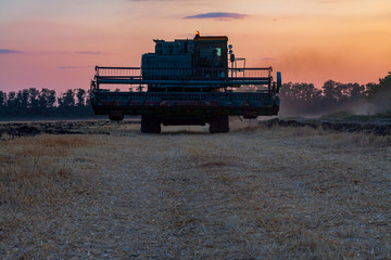 Fototapeta premium Harvesting in a wheat field combine.