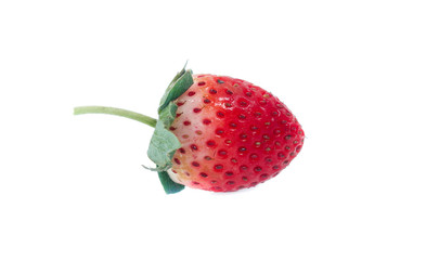 strawberries over white background