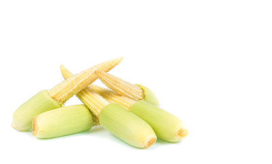 baby corn isolated on white background