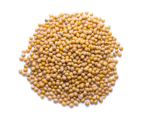 Soybeans  isolated on white background