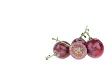 red grape isolated