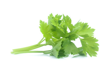 fresh celery on white background
