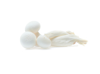 white beech mushroom or Shimeji mushroom on white background