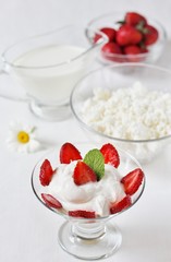 cheese cream. whipped curd cream with strawberries. Homemade cottage cheese is whipped with cream. Chamomile flowers. A useful dessert. On a light background.