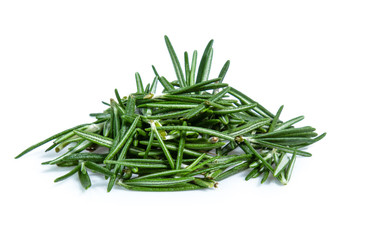 rosemary isolated on white background