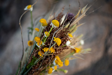 Field flower and chamomile bouquet