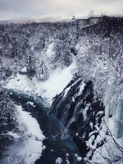白ひげの滝の冬景色