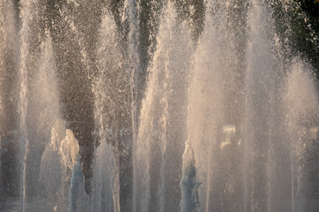 .fountain in lake on public park in evening