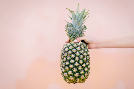 pineapple held by a hand on a salmon colored background. horizontal photo