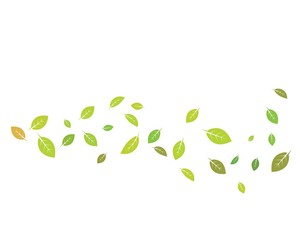 mint leaf illustration vector template