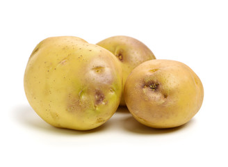 New potato isolated on white background