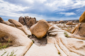 Joshua Tree Rocks