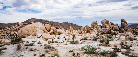 Panorama Rocks Joshua Tree
