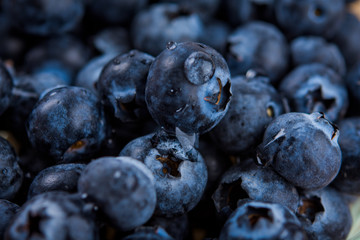Fresh ripe blueberries with drops of dew. Berry background. Macro photo