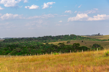 Production and livestock fields on the border of Brazil and Uruguay