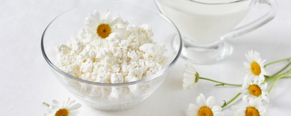 banner Homemade cottage cheese and cream in glassware. on a white background. Soft focus. Chamomile flowers as a symbol of rustic.  Copy Space
