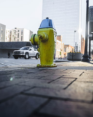 Yellow Fire Hydrant
