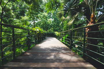 bridge in the forest landscape in park in asia