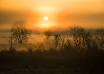 The sun rises over a foggy wetland conservation area in southeastern Michigan.