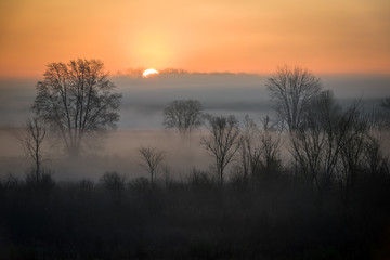 Fototapeta na wymiar The sun rises over a foggy wetland conservation area in southeastern Michigan.