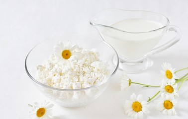 Homemade cottage cheese and cream in glassware. on a white background. Soft focus. Chamomile flowers as a symbol of rustic.  Copy Space
