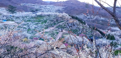 fishing nets and ropes