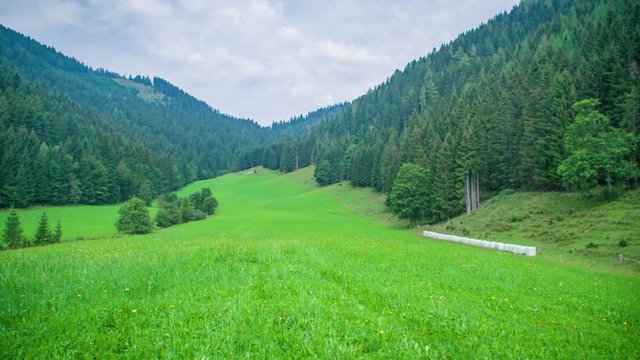 Pan right of a green grass meadow surrounded by mountains and a magical pine forest