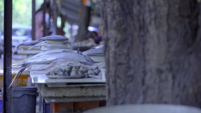 Close up of sea food at Four Banglows fish market in Andheri west Mumbai India