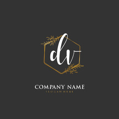 Handwritten initial letter D V DV for identity and logo. Vector logo template with handwriting and signature style.