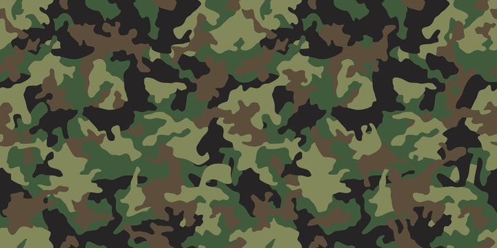 Green Camouflage Images – Browse 217,718 Stock Photos, Vectors