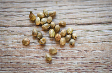 Cannabis Marijuana seeds or Hemp seed on wooden background