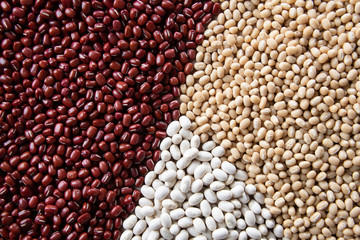 Obraz premium Various kinds of beans image. Red adzuki beans,white adzuki beans,white kidney beans. Organic,healthy food concept.