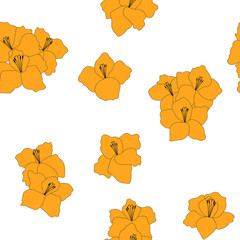 Seamless pattern gladiolus flowers vector spring botanical illustration